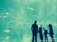 ����һ���Ŀں����ع� СŮ������[ͼ]