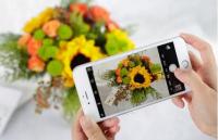 ��ʲô�ɾ�������Flowerplus��+��ˢ��ˢ��ˢ��