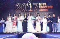 2017����С���й����������ܾ���������Ļ�����������