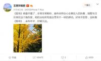 �����Ҽ����΢�ĺ��裬���겻��׵�