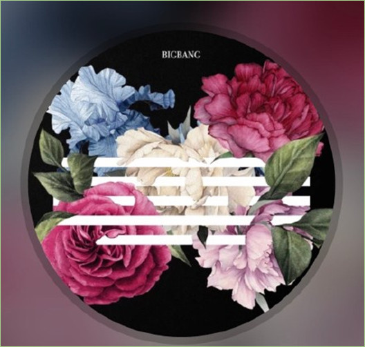 QQ�����׷�BigBang��FLOWER