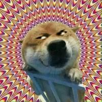 Ц���°ͣ�΢�ӵĺ�����Ƶ����ô���棿