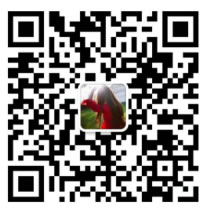 ���Ա�ֱ��X�ѵ�����������������������ָ�ϣ�9��3�ռ����ߵ�����!