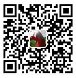 �Ա�ֱ��������������ֱ���Բ��������ԭ�����������ǹ���Ů��!