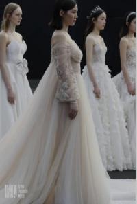 �ڴ�����ǰ�������Ե��к������š���GALIA LAHAV